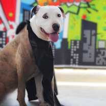 Thumbnail photo of Squiggy JuM #3