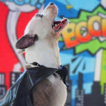 Thumbnail photo of Squiggy JuM #4