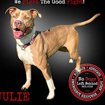 Thumbnail photo of Julie 6145 #1