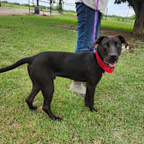 Thumbnail photo of Oscar JuM #3