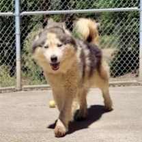Thumbnail photo of VIGGO #3