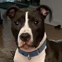 Thumbnail photo of Rio SM #2