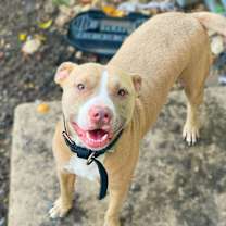 Thumbnail photo of Odin JC #3