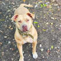 Thumbnail photo of Nyla JC #3