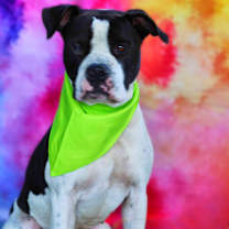 Thumbnail photo of Betamax JuM* #3