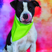 Thumbnail photo of Betamax JuM* #4