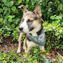 Thumbnail photo of Misty JuM #2
