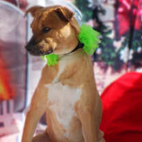 Thumbnail photo of Lanie JuM #3