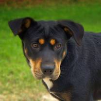 Thumbnail photo of Alice JuM* #1