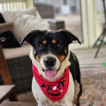 Thumbnail photo of Miss Bea JuM #1