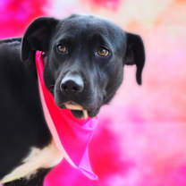 Thumbnail photo of Starla JuM #1