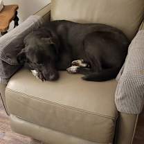 Thumbnail photo of Starla JuM #2