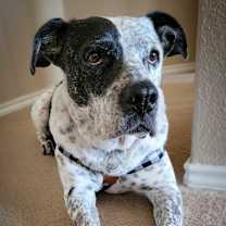 Thumbnail photo of McDaddy JuM #2