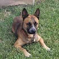 Thumbnail photo of Dakota JuM #3