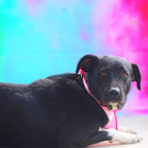 Thumbnail photo of Starla JuM #4