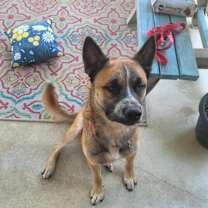 Thumbnail photo of Dakota JuM #4