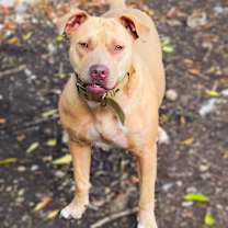 Thumbnail photo of Nyla JC #2