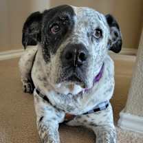 Thumbnail photo of McDaddy JuM #4