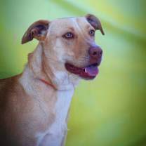 Thumbnail photo of Allie JR* #3