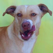 Thumbnail photo of Allie JR* #4