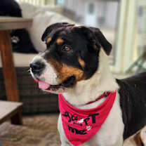 Thumbnail photo of Miss Bea JuM #3