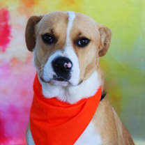 Thumbnail photo of Toby JuM #4