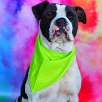 Thumbnail photo of Betamax JuM* #1