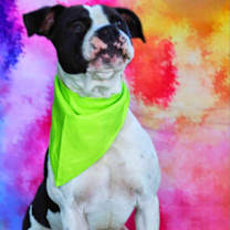 Thumbnail photo of Betamax JuM* #2