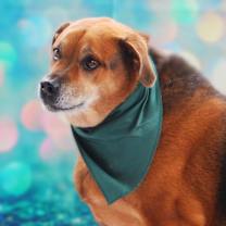 Thumbnail photo of Twix JuM* #3