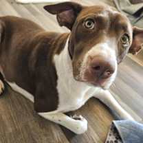 Thumbnail photo of Tessa JuM #2