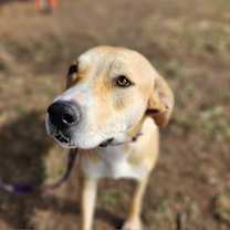 Thumbnail photo of Reese JuM #3