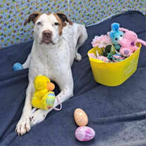 Thumbnail photo of Heidi DJ* #2