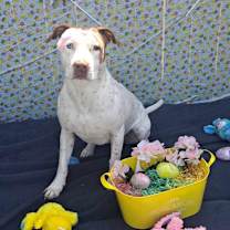 Thumbnail photo of Heidi DJ* #3