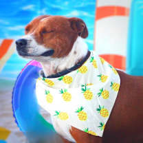 Thumbnail photo of Captain JuM* #2