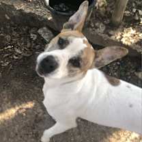 Thumbnail photo of Lenny NN #3