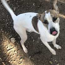 Thumbnail photo of Lenny NN #4