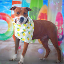 Thumbnail photo of Captain JuM* #4