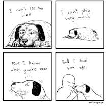 Thumbnail photo of Old Yeller JuM #2