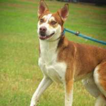 Thumbnail photo of Mullen JuM #2