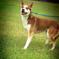 Thumbnail photo of Mullen JuM #3