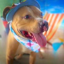 Thumbnail photo of Mason JuM #3