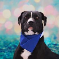 Thumbnail photo of Bravo JuM* #4