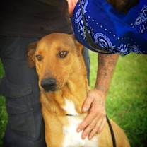 Thumbnail photo of Aries CS/JuM* #2