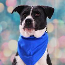 Thumbnail photo of Bobby JuM #2