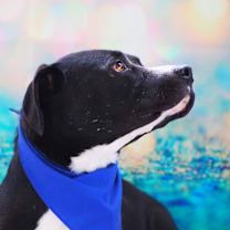 Thumbnail photo of Bravo JuM* #3