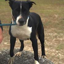 Thumbnail photo of Betsy JuM #4