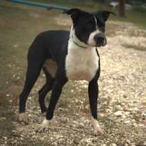 Thumbnail photo of Betsy JuM #3