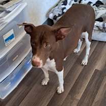 Thumbnail photo of Tessa JuM #3