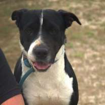 Thumbnail photo of Betsy JuM #1