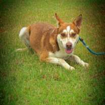 Thumbnail photo of Mullen JuM #4